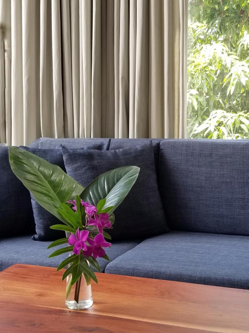 Angkor Siesta Villa Siem Reap Extérieur photo